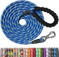 Heavy Duty Dog Leash - 30FT Reflective with Swivel Lockable Hook and Comfortable Padded Handle, Puppy Leash for Walking, Hunting, Camping, Backyard - Blue