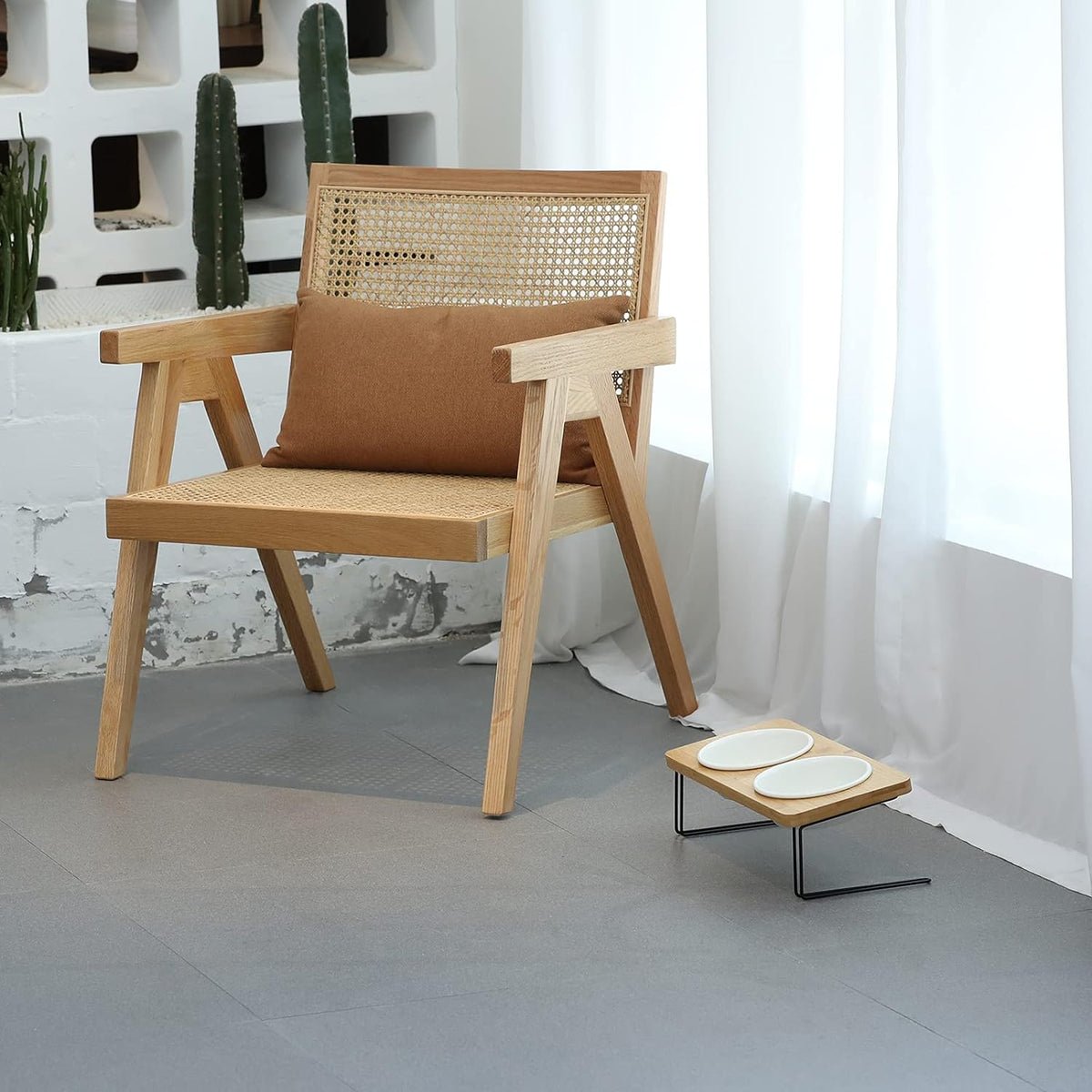 Elevated double bowl feeder in a modern living room