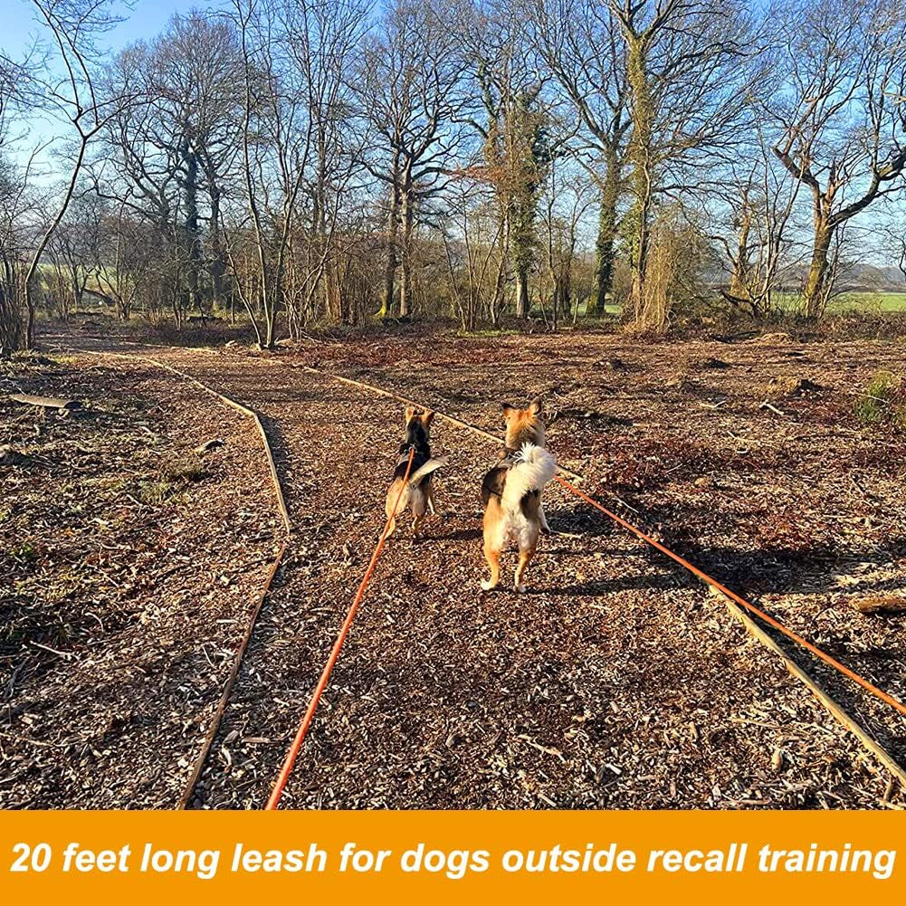 Floating Long Dog Leash, 20FT Dog Training Leash, Orange