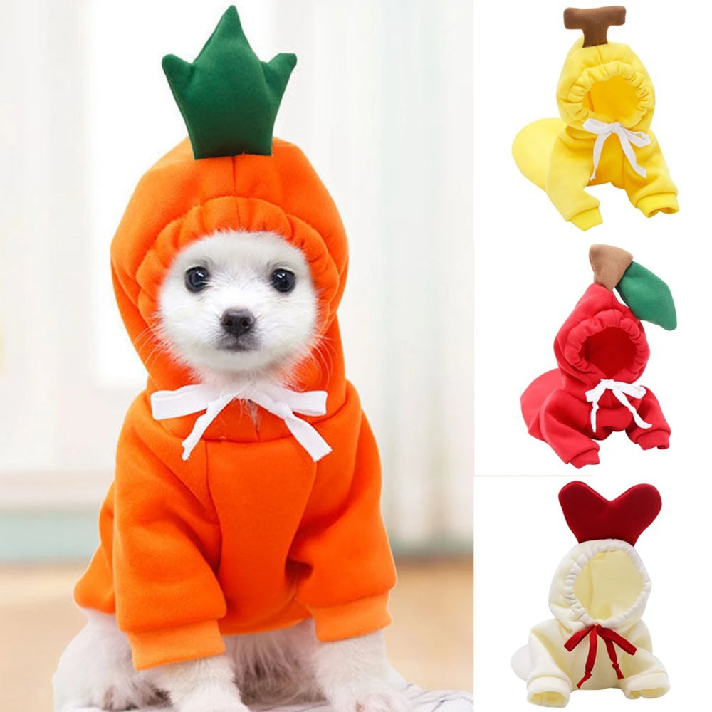 Carrot dog hoodie front view