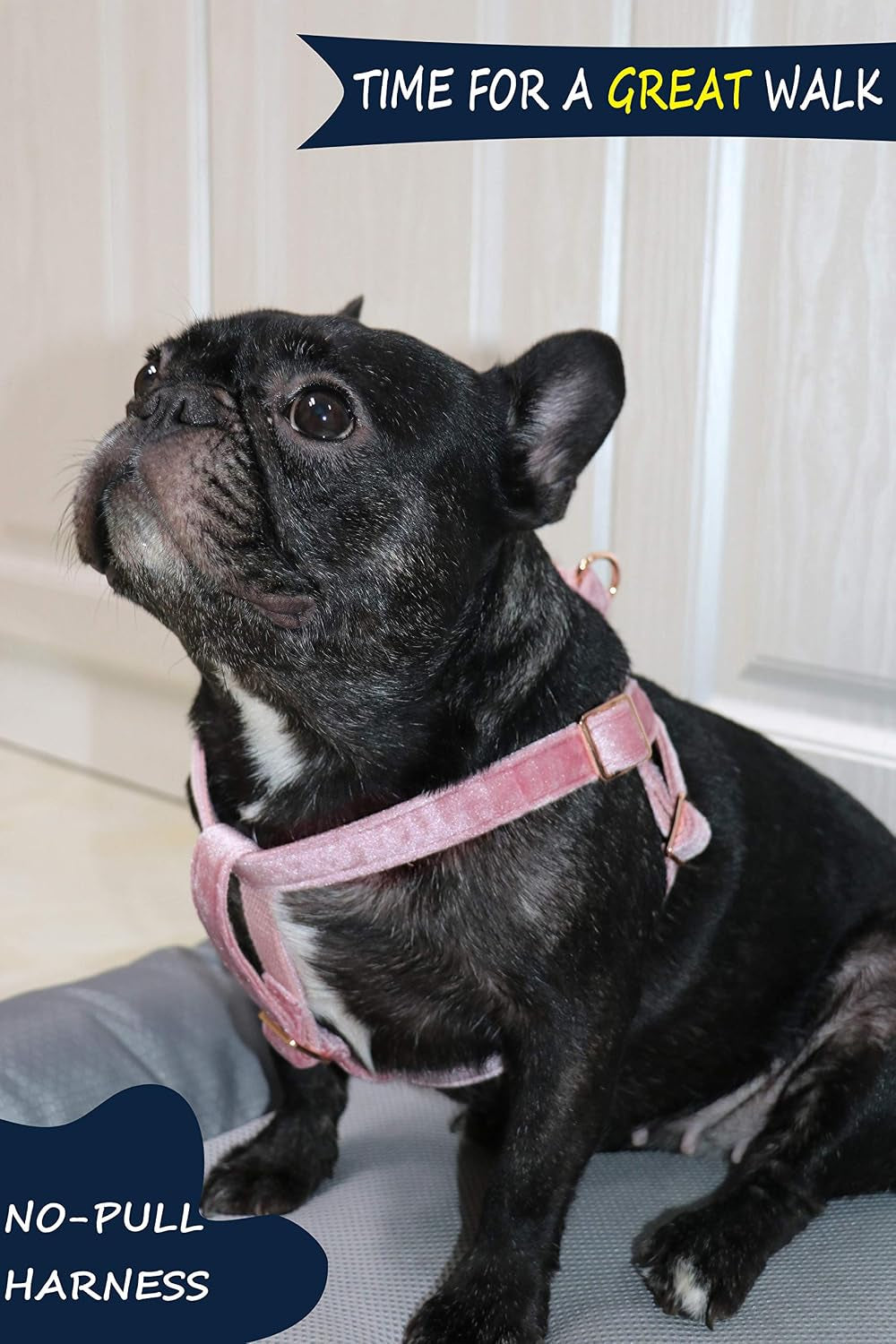 Velvet No Pull Dog Halter Harness, Adjustable Heavy Duty for Small to Large Dogs