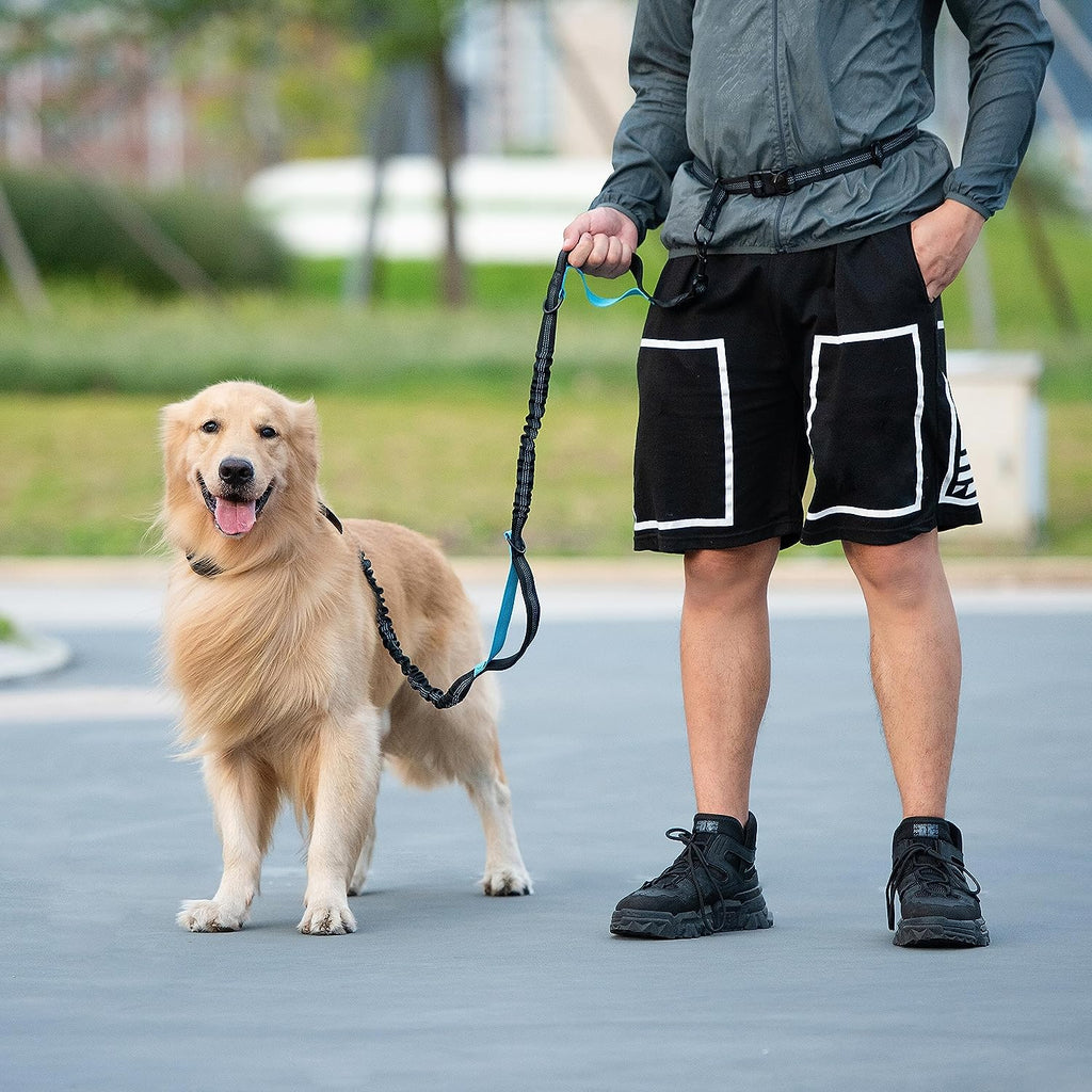 Hands Free Dog Leash with Zipper Pouch, Medium, 8-25 Lbs, Black