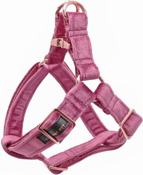 Velvet No Pull Dog Halter Harness, Adjustable Heavy Duty for Small to Large Dogs