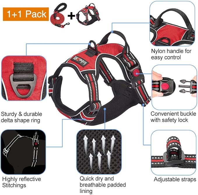 No Pull Dog Harness Adjustable Reflective Oxford Easy Control Medium Large Dog Harness with a Free Heavy Duty 5Ft Dog Leash, Blue, S