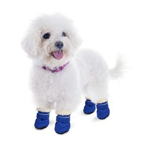 Small dog wearing winter boots
