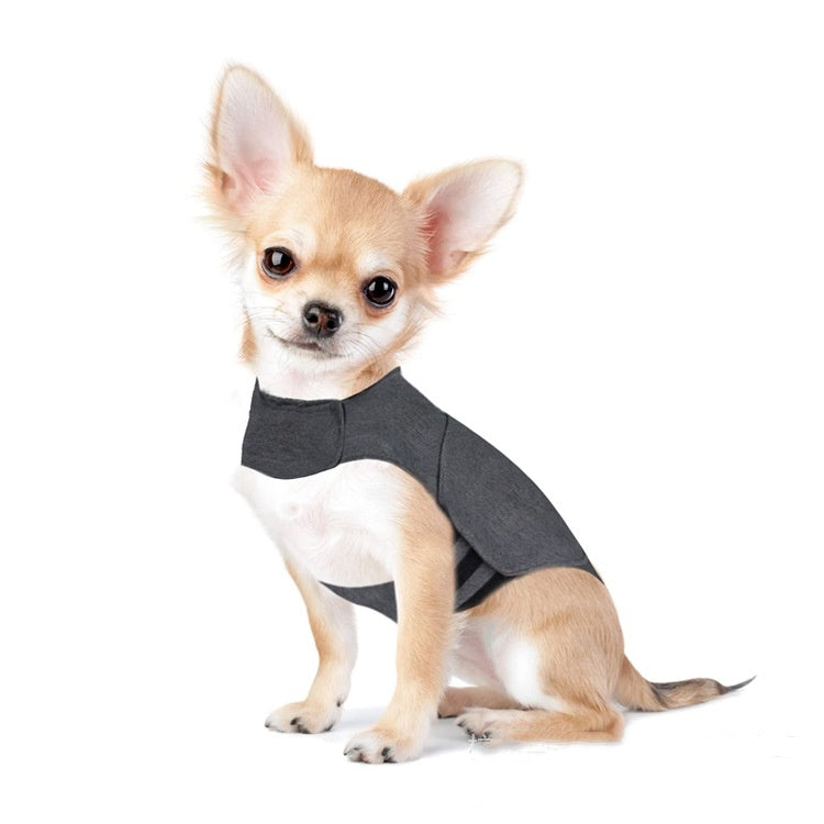 Small dog wearing a gray calming anxiety wrap