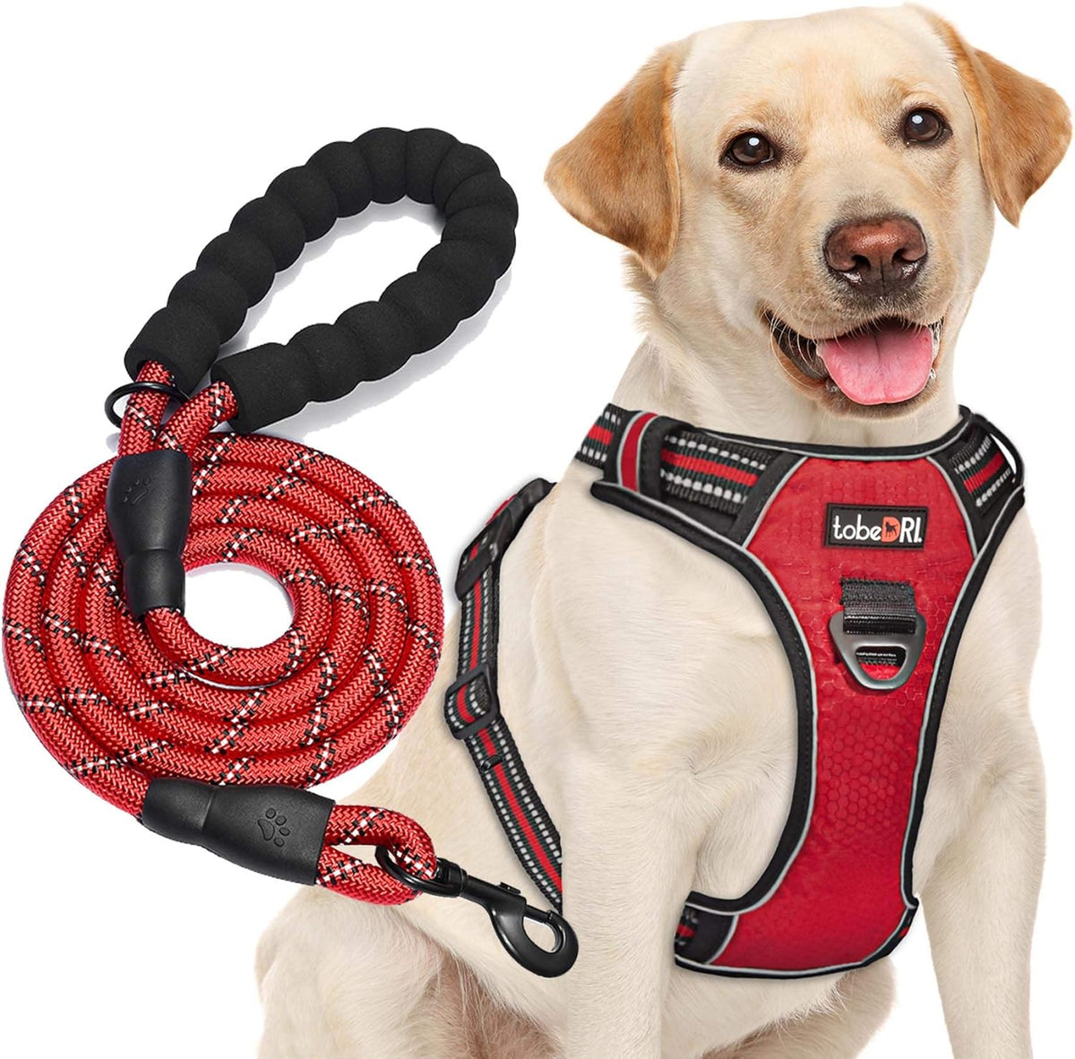 No Pull Dog Harness Adjustable Reflective Oxford Easy Control Medium Large Dog Harness with a Free Heavy Duty 5Ft Dog Leash, Blue, S