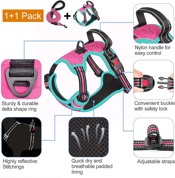 No Pull Dog Harness Adjustable Reflective Oxford Easy Control Medium Large Dog Harness with a Free Heavy Duty 5Ft Dog Leash, Blue, S