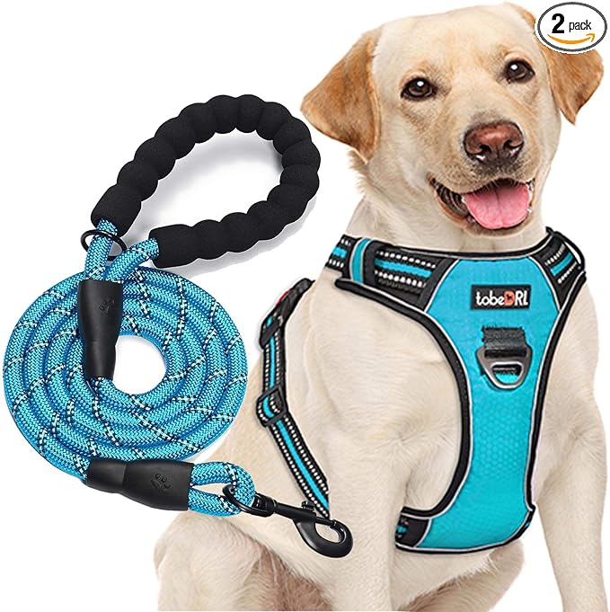 No Pull Dog Harness Adjustable Reflective Oxford Easy Control Medium Large Dog Harness with a Free Heavy Duty 5Ft Dog Leash, Blue, S