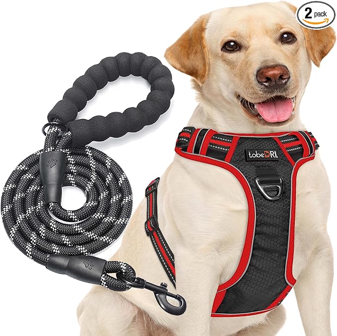 No Pull Dog Harness Adjustable Reflective Oxford Easy Control Medium Large Dog Harness with a Free Heavy Duty 5Ft Dog Leash, Blue, S