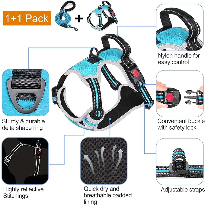 No Pull Dog Harness Adjustable Reflective Oxford Easy Control Medium Large Dog Harness with a Free Heavy Duty 5Ft Dog Leash, Blue, S