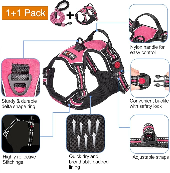 No Pull Dog Harness Adjustable Reflective Oxford Easy Control Medium Large Dog Harness with a Free Heavy Duty 5Ft Dog Leash, Blue, S
