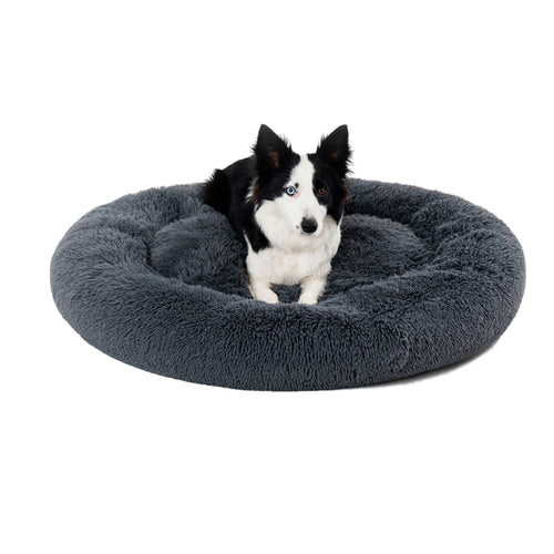 Dog relaxing in a fluffy donut bed