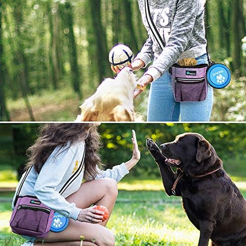 Hands Free Dog Treat Pouch for Training and Walking, Purple