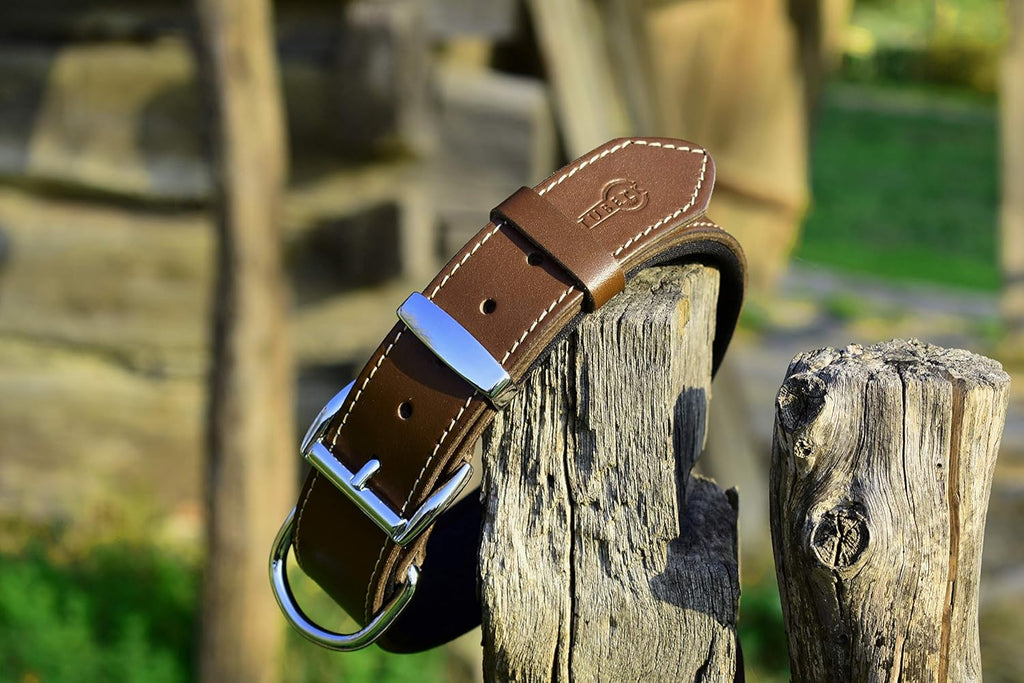 Vegetable-Tanned Leather Dog Collar for Large Dogs - Heavy Duty and Luxury Design Dog Collars (S: 1.2” Wide for 16.5”-19.5” Neck, Brown)
