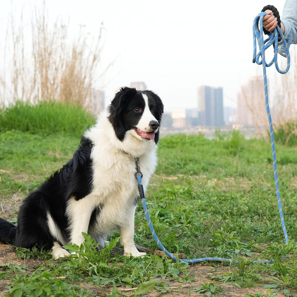 Heavy Duty Dog Leash - 30FT Reflective with Swivel Lockable Hook and Comfortable Padded Handle, Puppy Leash for Walking, Hunting, Camping, Backyard - Blue