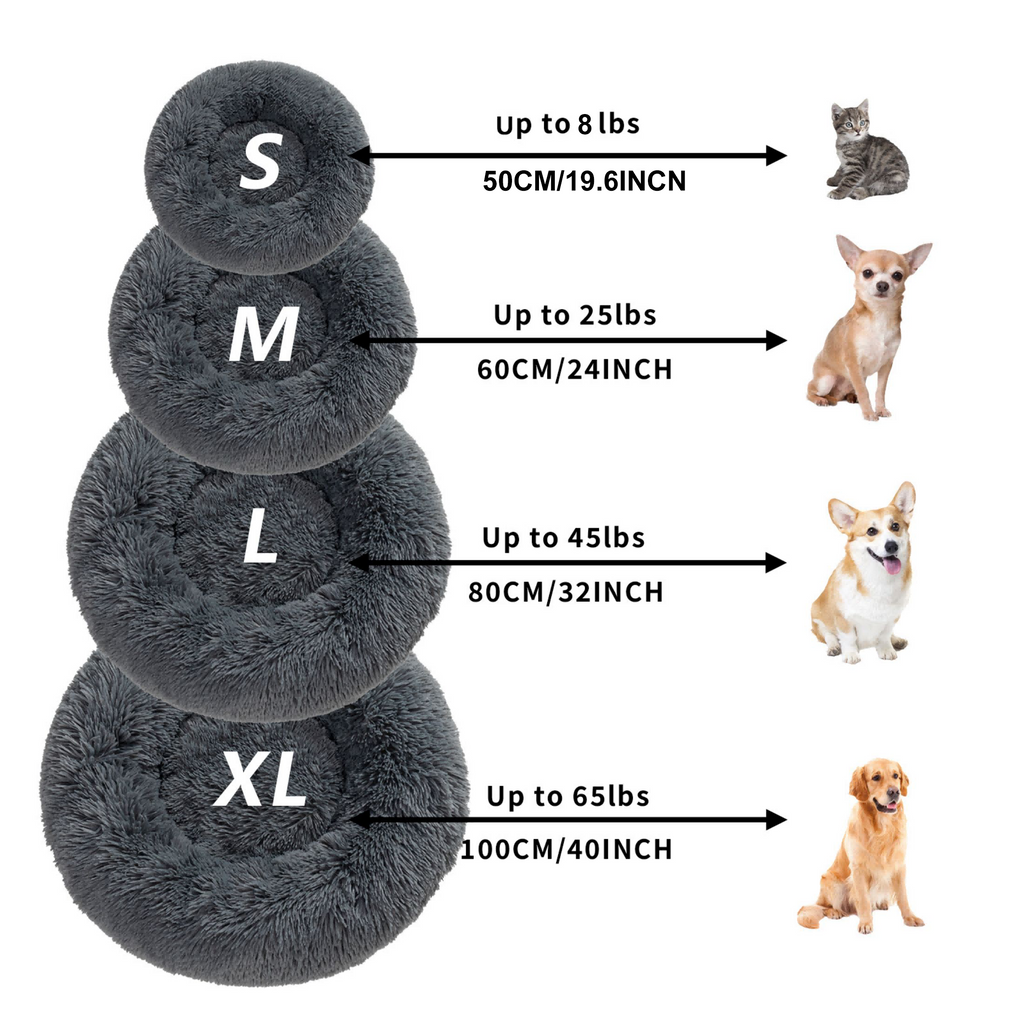 Donut bed sizes
