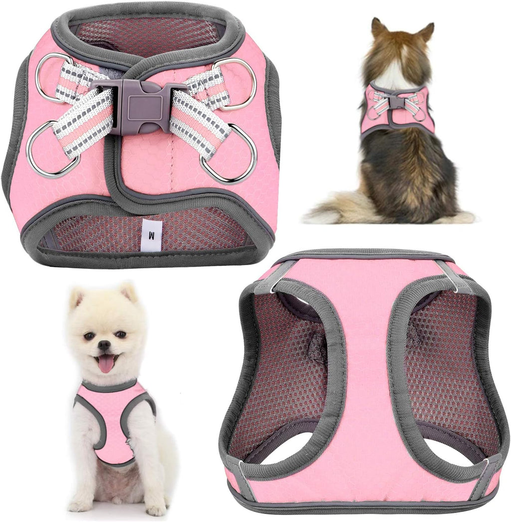 Small Dog Harness,Puppy Harness,Adjustable Leash and Collar Set for Small Dogs,Step-In Dog Harness,3M Reflective Pet Dog Vest for Small Medium Puppy