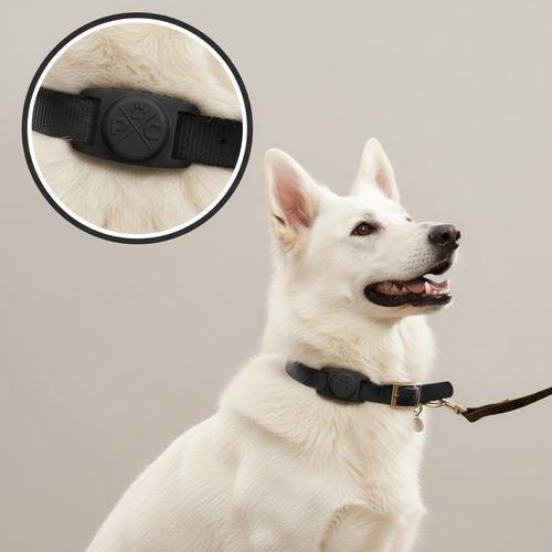 TrackSafe silicone AirTag holder on a dog collar