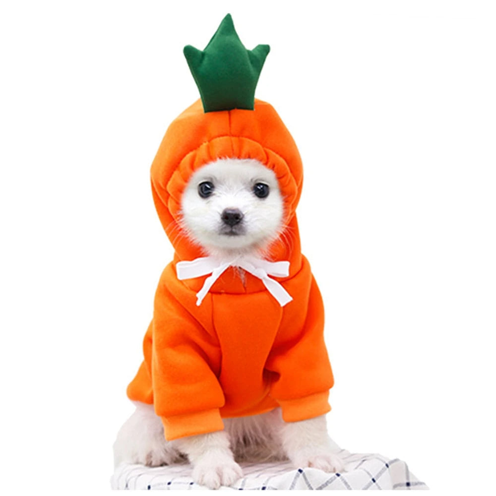 Small dog in an orange carrot dog hoodie