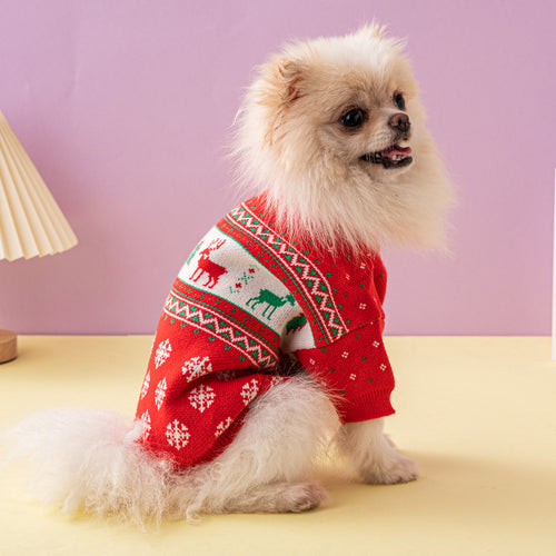 Pomeranian wearing a red Christmas reindeer dog sweater