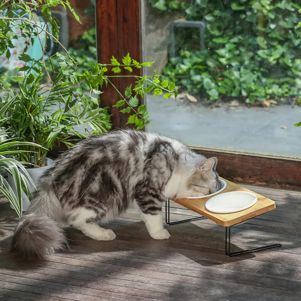 Cat eating from the tilted ceramic bowls