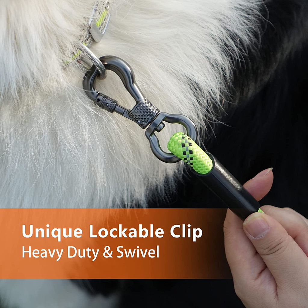 Heavy Duty Dog Leash - 30FT Reflective with Swivel Lockable Hook and Comfortable Padded Handle, Puppy Leash for Walking, Hunting, Camping, Backyard - Blue