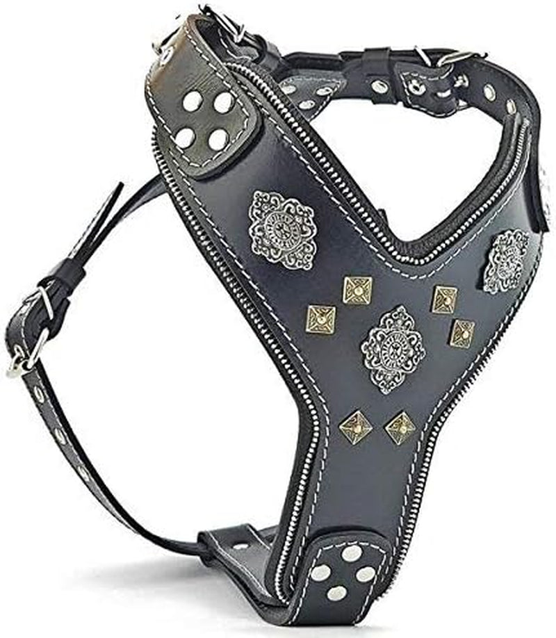 Aztec Leather Dog Harness, Padded Chest Plate, Two-Tone Rivets