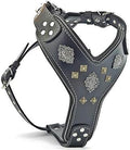 Aztec Leather Dog Harness, Padded Chest Plate, Two-Tone Rivets