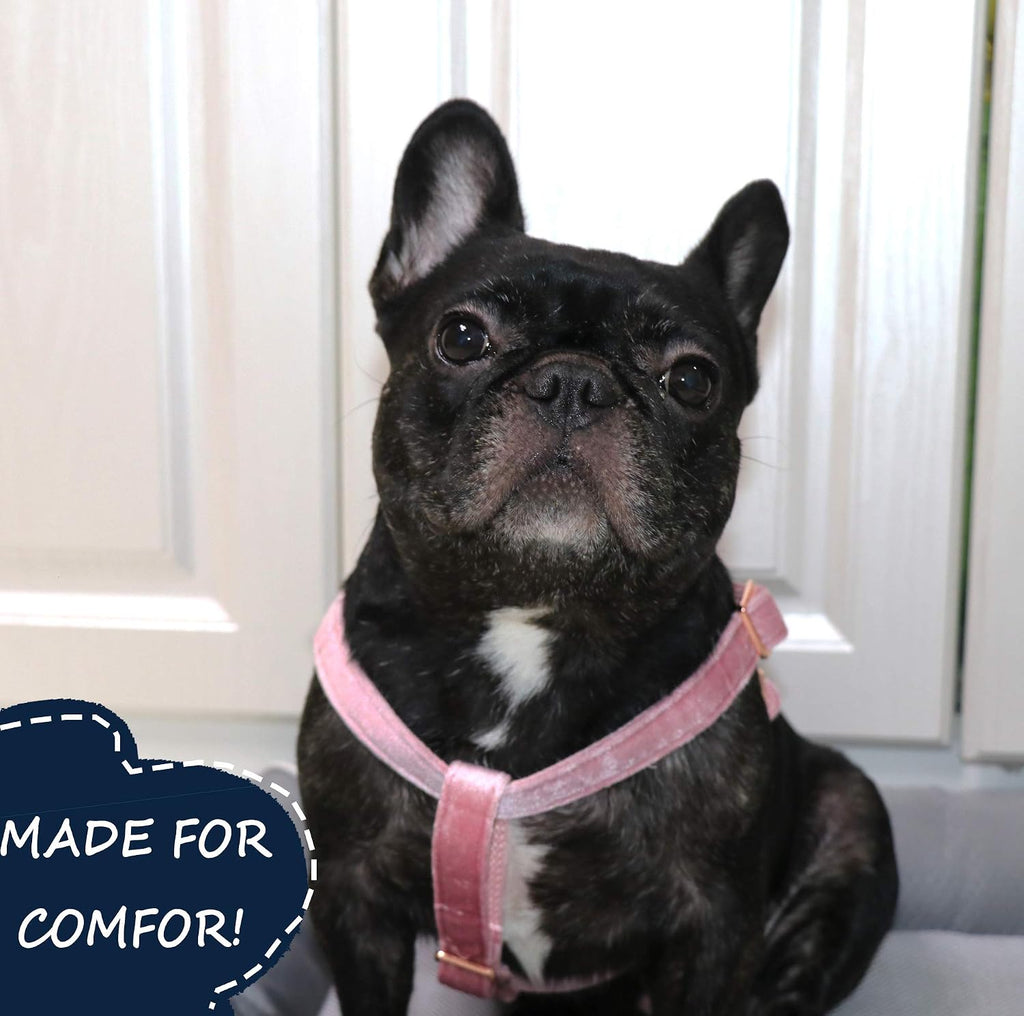 Velvet No Pull Dog Halter Harness, Adjustable Heavy Duty for Small to Large Dogs