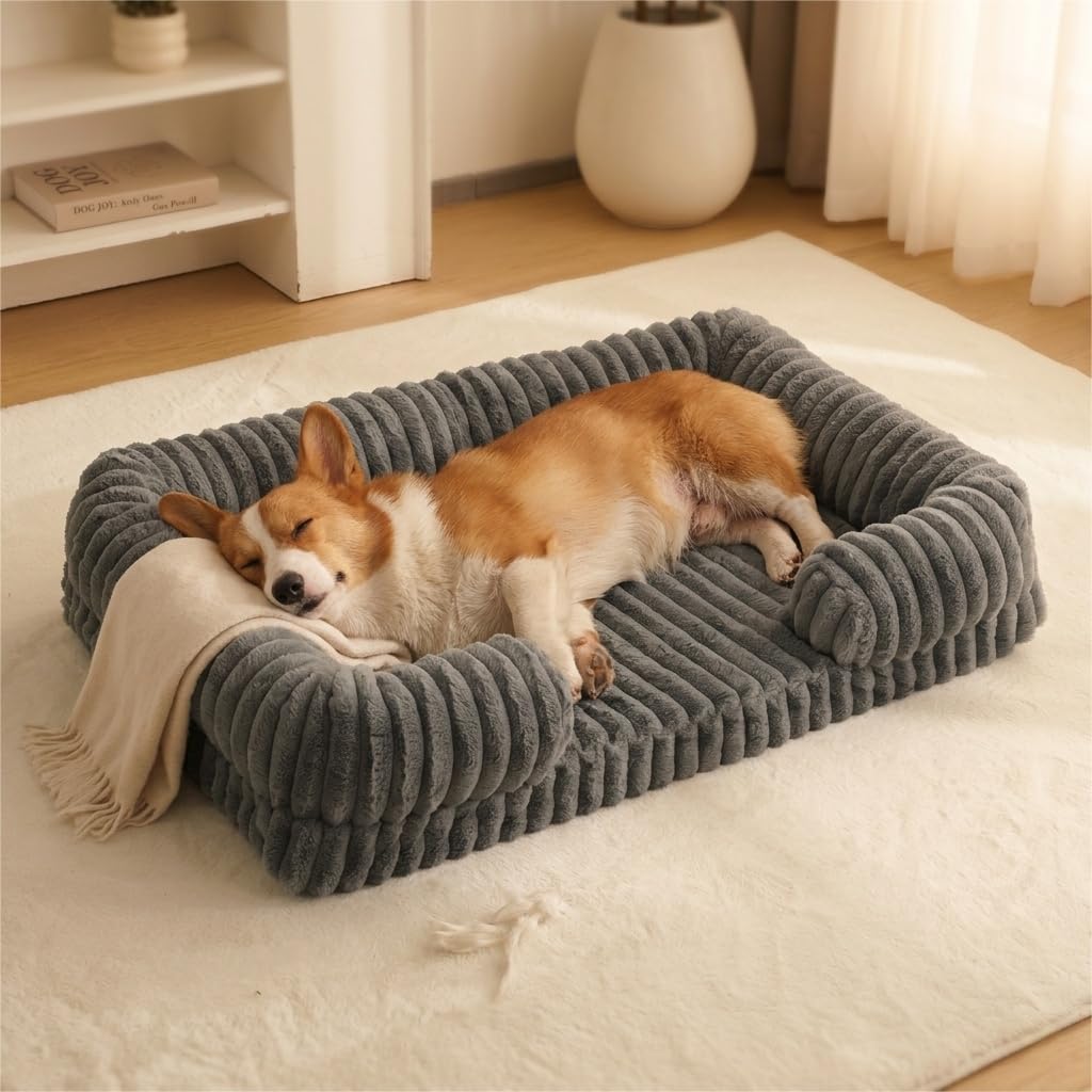 Corgi sleeping on a gray bolster dog bed