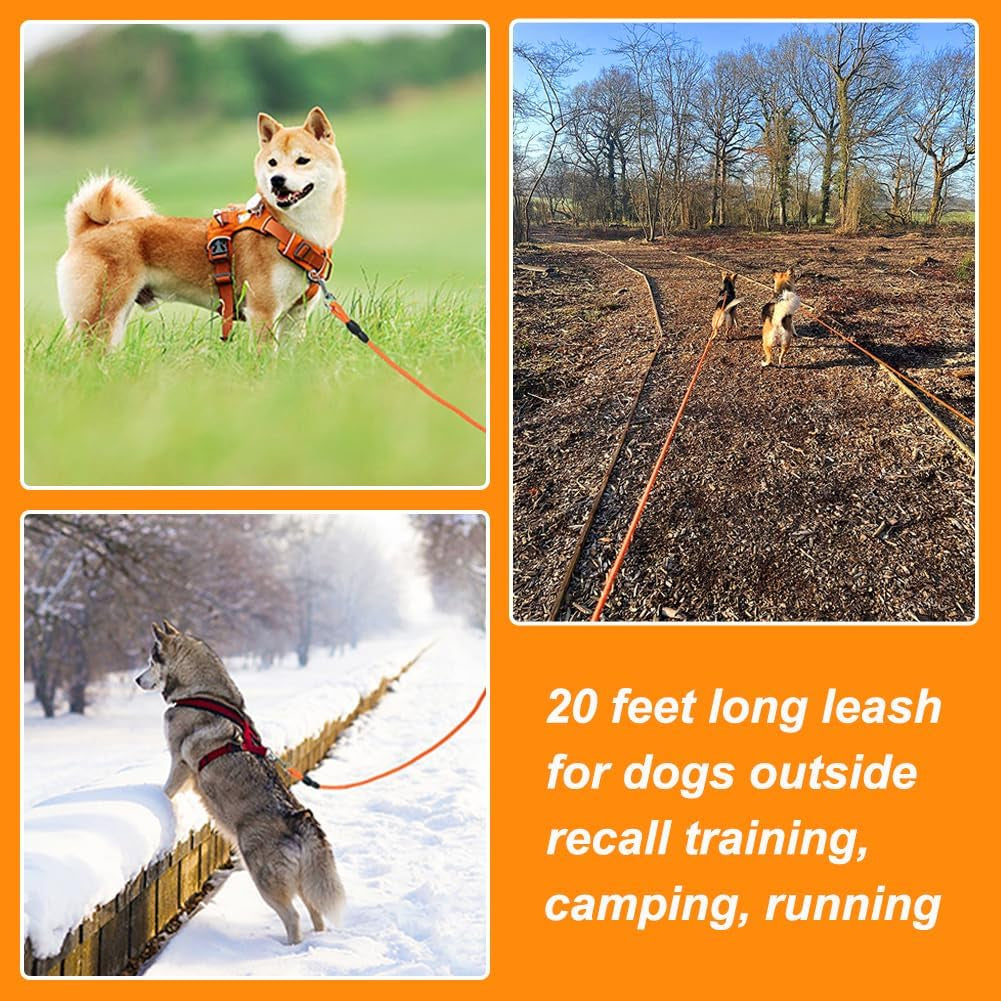 Floating Long Dog Leash, 20FT Dog Training Leash, Orange
