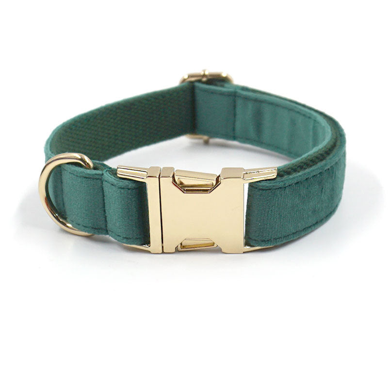 Velvet collar with gold quick-release buckle