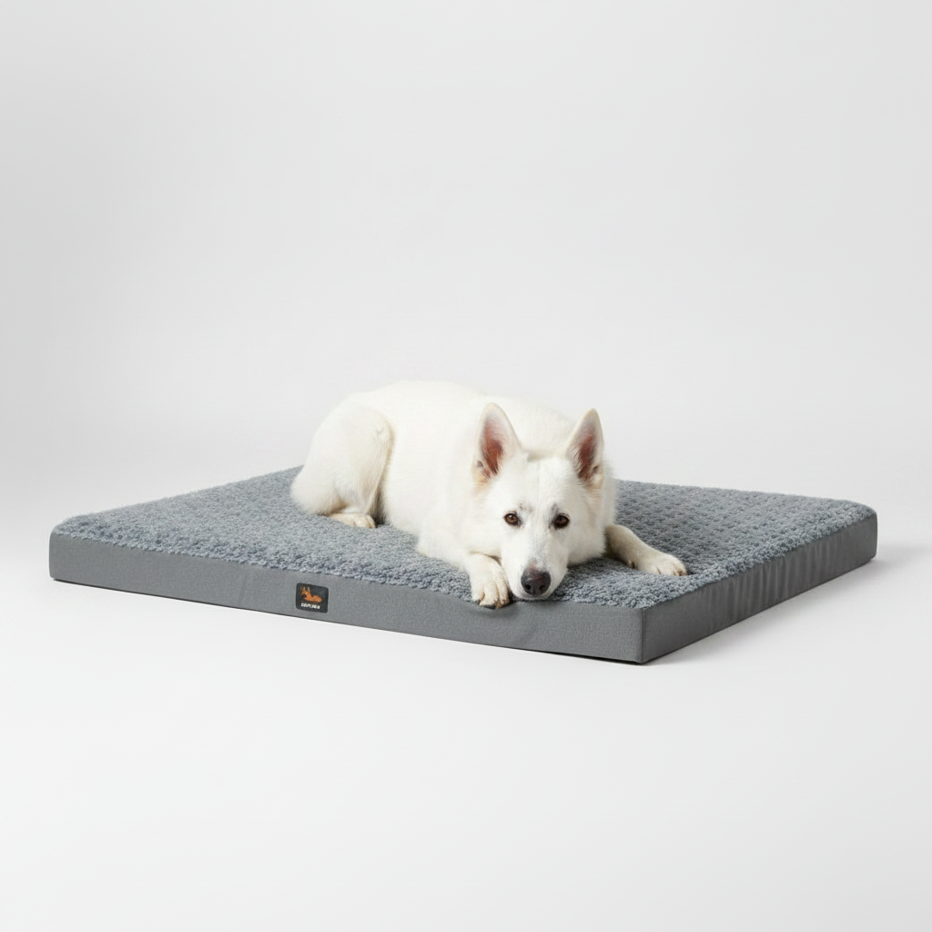 White Swiss Shepherd lying on Gray Blue waterproof orthopedic dog bed mat