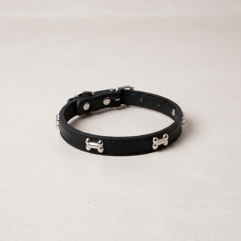 Black leather dog collar with bone studs on neutral background