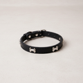 Black leather dog collar with bone studs on neutral background