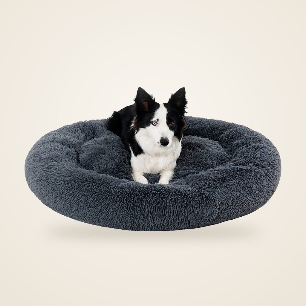 Dog resting in a fluffy calming donut bed
