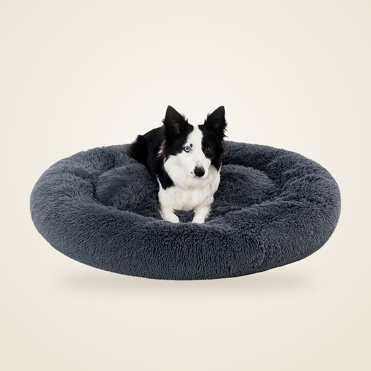 Dog resting in a fluffy calming donut bed