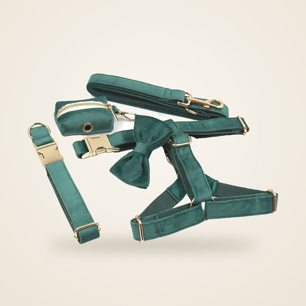 Emerald velvet 5-piece gift set: harness, collar, leash, bow and bag holder