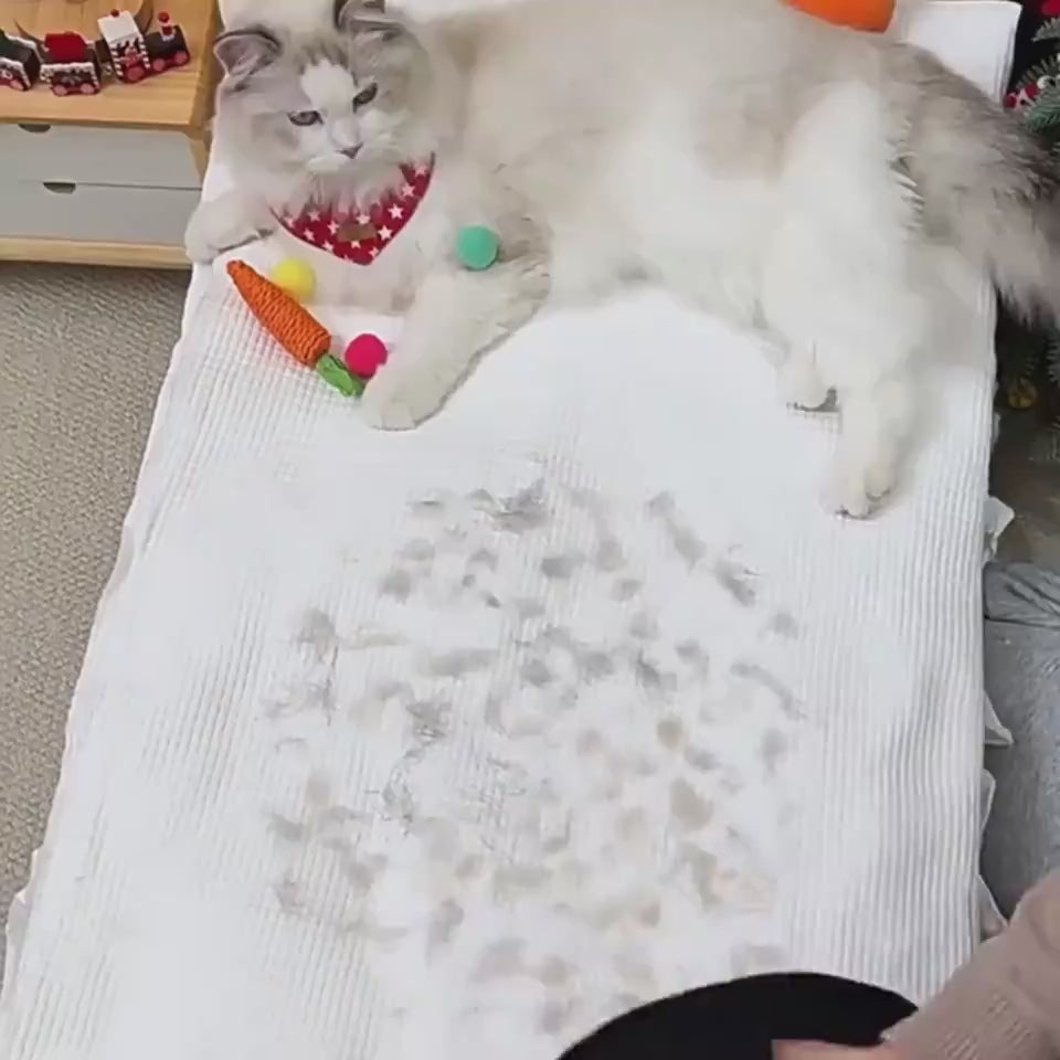 Removing pet hair from a bed with the mitt