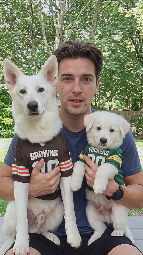Football team dog jersey - product video