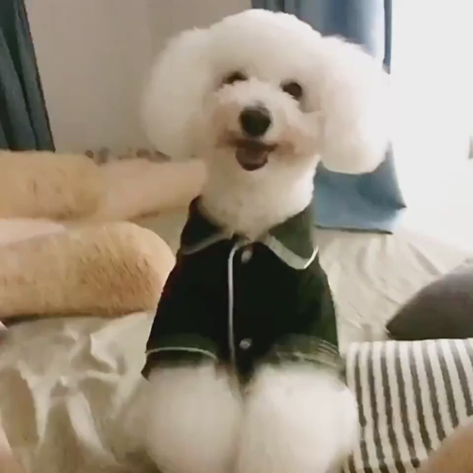Dog pajamas close-up