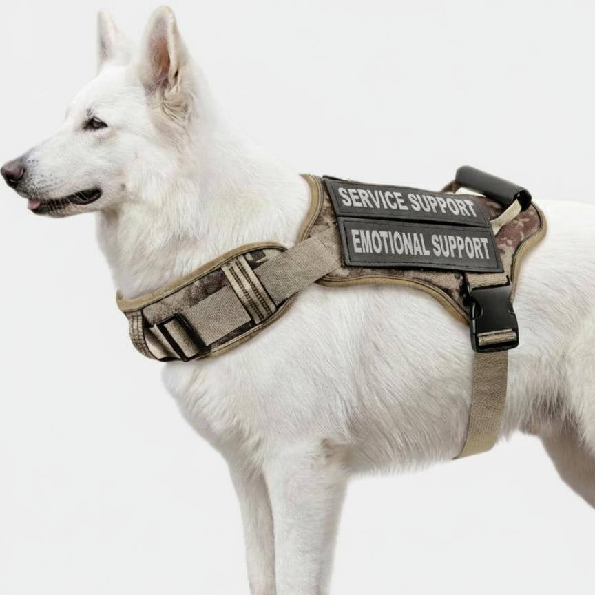 White Swiss Shepherd wearing tan camo Pro Tactical Harness with Service Support and Emotional Support patches, side view